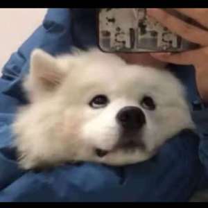 乳神aletta ocean vk
